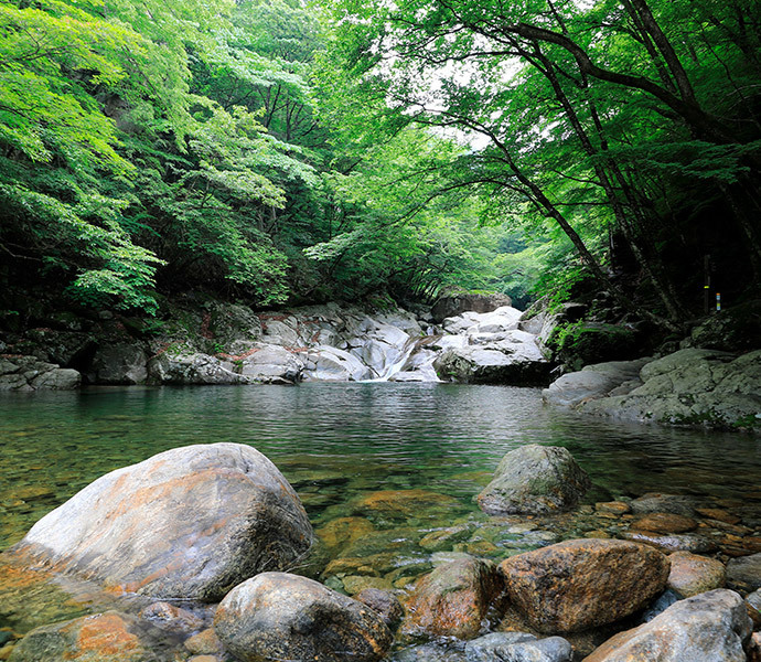 이미지명